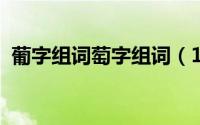 葡字组词萄字组词（11月13日葡组词两字）