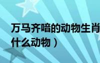 万马齐喑的动物生肖（11月13日万马齐喑是什么动物）