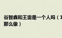 谷智鑫和王雷是一个人吗（11月13日谷智鑫王雷为什么他们那么像）