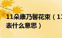 11朵康乃馨花束（11月13日十九朵康乃馨代表什么意思）