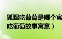 狐狸吃葡萄是哪个寓言故事（11月13日狐狸吃葡萄故事寓意）
