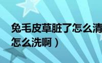 兔毛皮草脏了怎么清洗（10月08日兔毛皮草怎么洗啊）