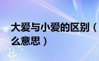 大爱与小爱的区别（11月12日大爱和小爱什么意思）