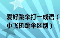 爱好跳伞打一成语（10月08日大飞机跳伞与小飞机跳伞区别）