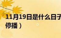11月19日是什么日子（10月08日菲儿为什么停播）