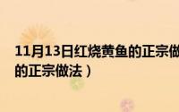 11月13日红烧黄鱼的正宗做法是什么（11月13日红烧黄鱼的正宗做法）