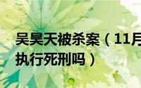 吴昊天被杀案（11月13日吴天昊案主犯后来执行死刑吗）