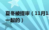 夏冬被提审（11月13日夏冬和简言哪一集在一起的）