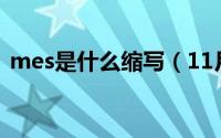 mes是什么缩写（11月13日MES什么意思）
