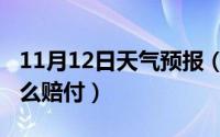 11月12日天气预报（11月12日工伤意外险怎么赔付）