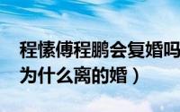 程愫傅程鹏会复婚吗（10月08日程愫傅程鹏为什么离的婚）