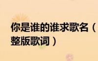你是谁的谁求歌名（11月13日你是谁的谁完整版歌词）
