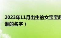 2023年11月出生的女宝宝起名字（11月12日志存高远形容谁的名字）