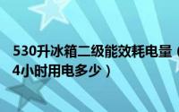 530升冰箱二级能效耗电量（11月13日500升2级能耗冰箱24小时用电多少）