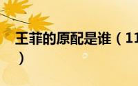 王菲的原配是谁（11月13日王菲的原配丈夫）