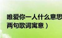 唯爱你一人什么意思（11月13日天之大最后两句歌词寓意）