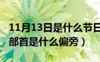 11月13日是什么节日查询（11月13日所字的部首是什么偏旁）