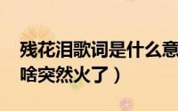 残花泪歌词是什么意思（11月13日残花泪为啥突然火了）