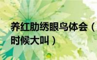 养红肋绣眼鸟体会（11月13日红肋绣眼什么时候大叫）
