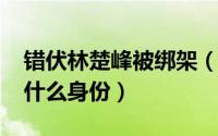 错伏林楚峰被绑架（10月08日错伏林楚冰是什么身份）