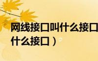 网线接口叫什么接口（11月13日网线接口是什么接口）