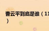 曹云平到底是谁（11月13日曹云龙何许人也）