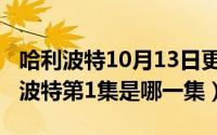 哈利波特10月13日更新内容（11月13日哈利波特第1集是哪一集）