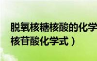 脱氧核糖核酸的化学式（10月08日脱氧核糖核苷酸化学式）