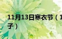 11月13日寒衣节（11月13日shap是什么牌子）
