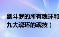 剑斗罗的所有魂环和魂技（11月13日剑斗罗九大魂环的魂技）