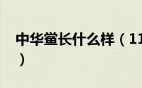 中华鲎长什么样（11月13日中华鲎物种分类）