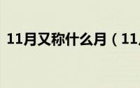 11月又称什么月（11月13日满组词是什么）