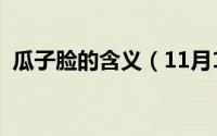 瓜子脸的含义（11月13日瓜子脸是什么样）
