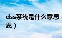 dss系统是什么意思（10月08日dss是什么意思）