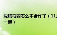 沈腾马丽怎么不合作了（11月13日沈腾和马丽为什么没有在一起）