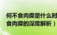 何不食肉糜是什么时候说的（11月13日何不食肉糜的深度解析）