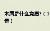 木屑是什么意思?（11月13日木屑的用途和前景）