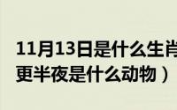 11月13日是什么生肖日（11月13日猜生肖三更半夜是什么动物）