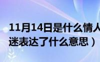 11月14日是什么情人节名字（11月13日情人迷表达了什么意思）