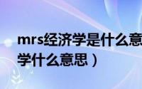 mrs经济学是什么意思（11月13日mrt经济学什么意思）
