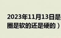 2023年11月13日是第几周（11月13日甜甜圈是软的还是硬的）