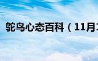 鸵鸟心态百科（11月13日鸵鸟心态啥意思）