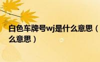 白色车牌号wj是什么意思（11月13日wj开头白色车牌是什么意思）