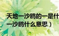 天地一沙鸥的一是什么意思（11月13日天地一沙鸥什么意思）