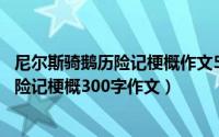 尼尔斯骑鹅历险记梗概作文500字（11月13日尼尔斯骑鹅历险记梗概300字作文）