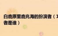 白鹿原里鹿兆海的扮演者（11月14日白鹿原中鹿兆海的扮演者是谁）