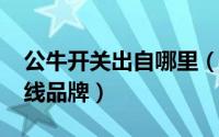 公牛开关出自哪里（11月13日公牛开关是几线品牌）