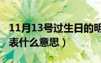 11月13号过生日的明星（11月13日寿星公代表什么意思）