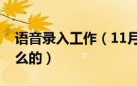 语音录入工作（11月14日语音录入员是干什么的）
