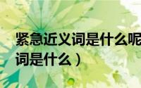 紧急近义词是什么呢（11月14日紧急的近义词是什么）
